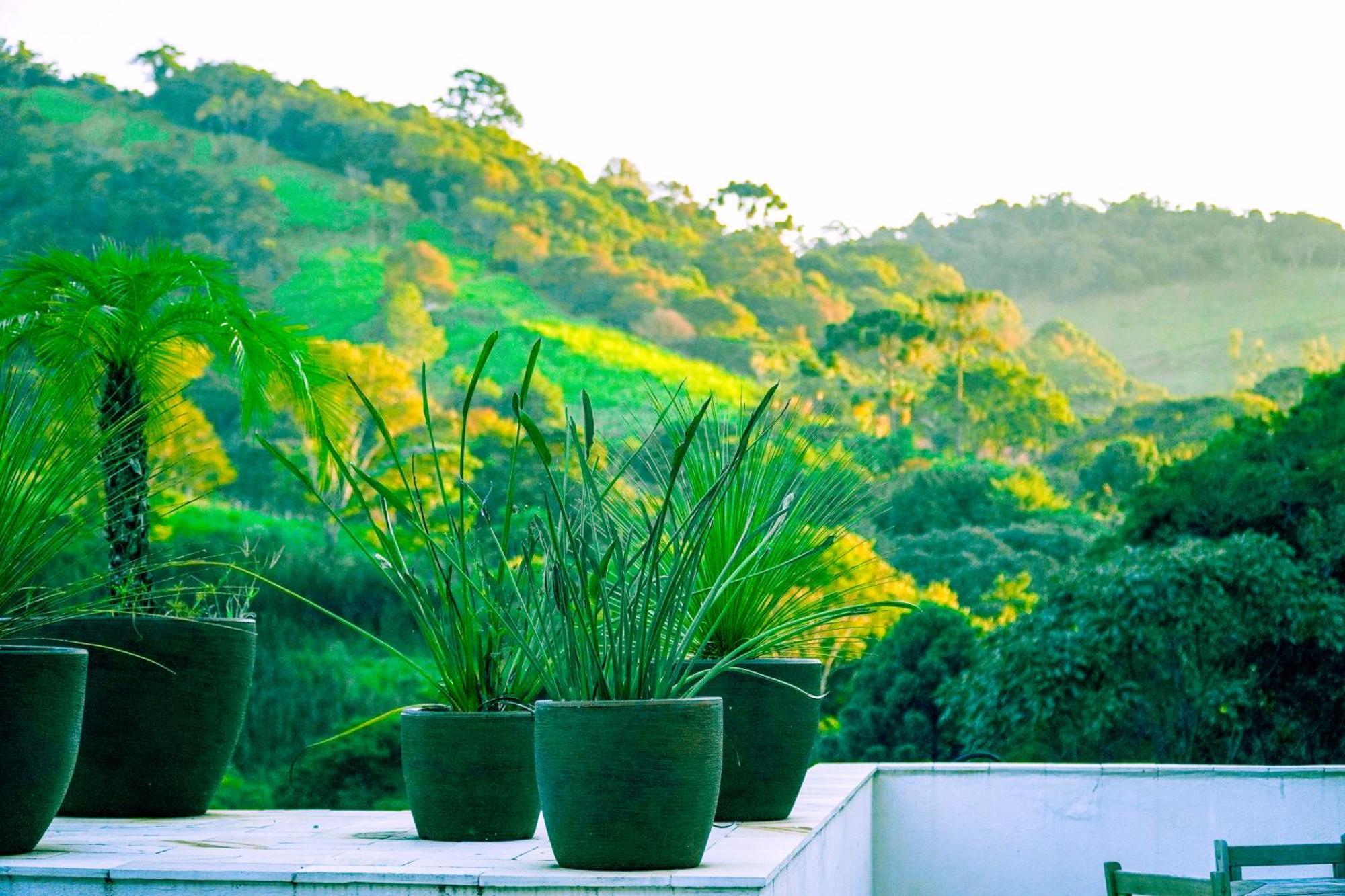 Pousada Highland Santo Antônio do Pinhal Exteriör bild